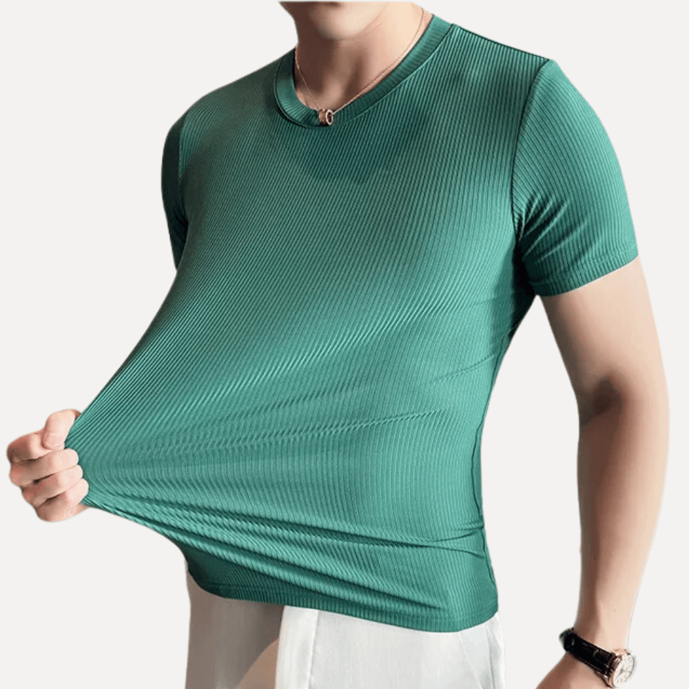 camiseta taylor